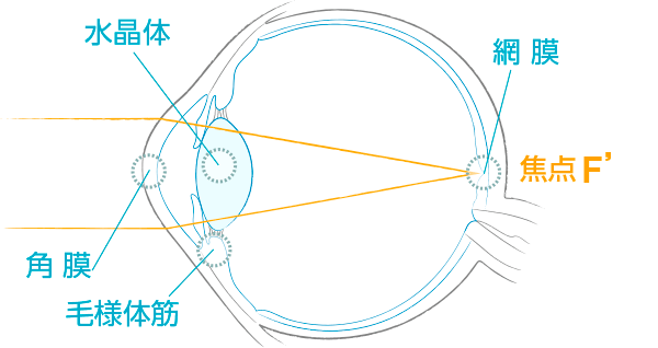 正視 画像